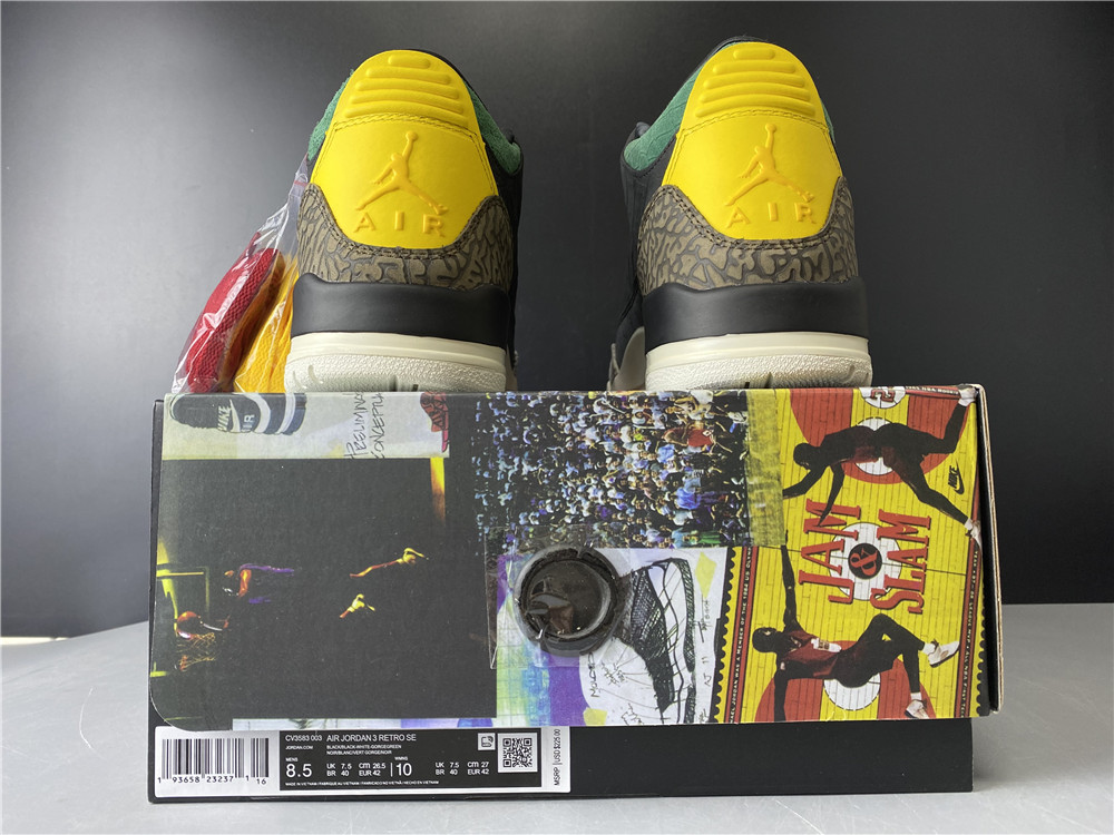 Air Jordan 3 Retro SE Animal Instinct 2.0 CV3583-003
