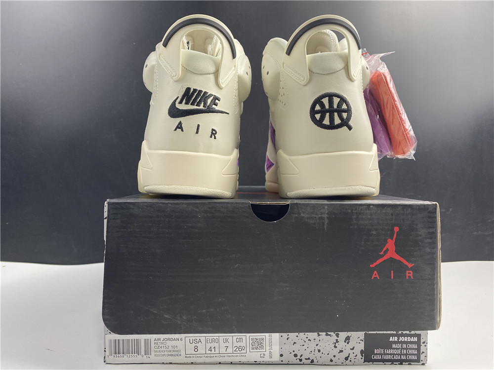 Air Jordan 6 Quai 54 Beige Purple Plaid CZ4152-101