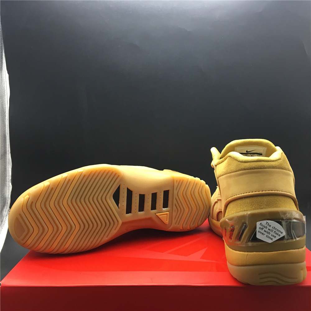 Nike Air Zoom Generation Wheat Retro AQ0110-700