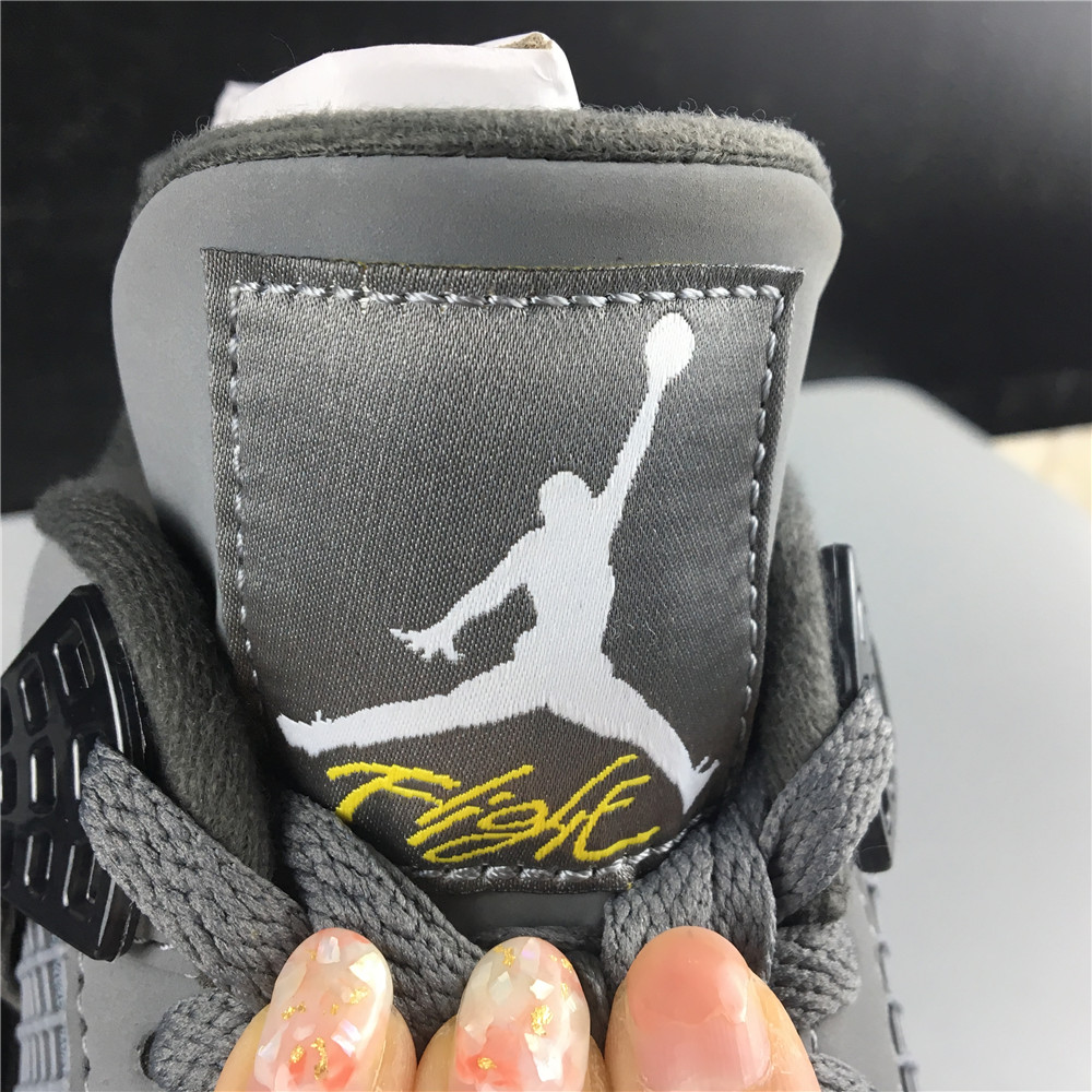 Air Jordan 4 Retro Cool Grey (2019) 308497-007