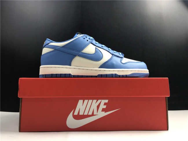 Nike Dunk Low Coast DD1503-100
