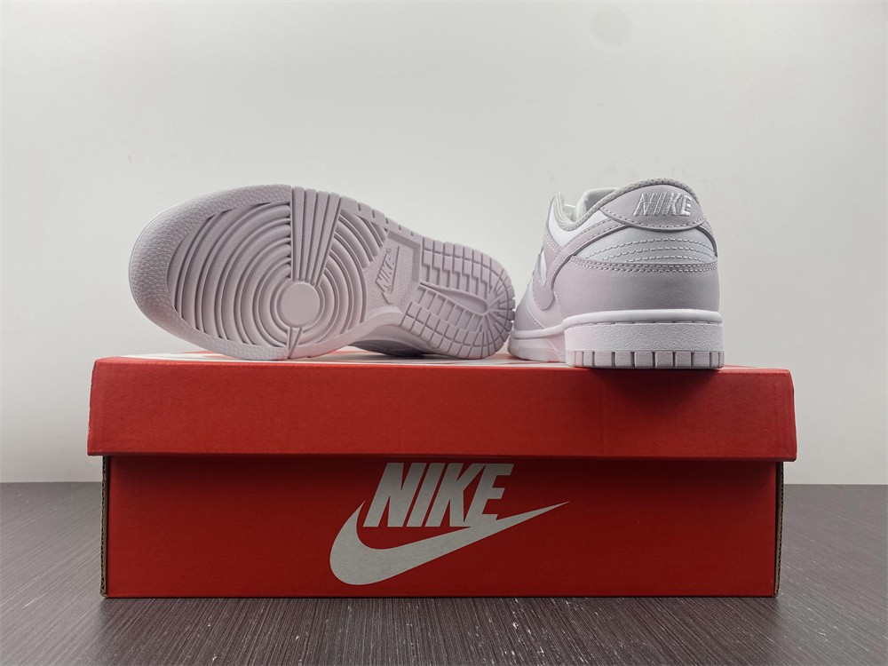 Nike Dunk Low Venice (W) DD1503-116