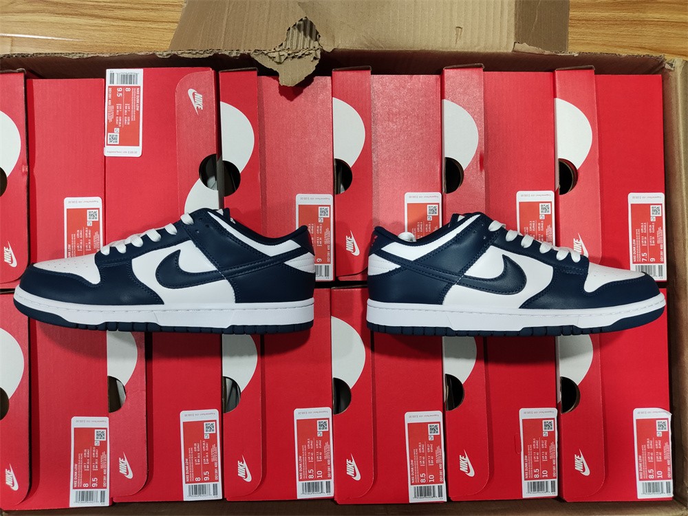 Nike Dunk Low Valerian Blue DD1391-400