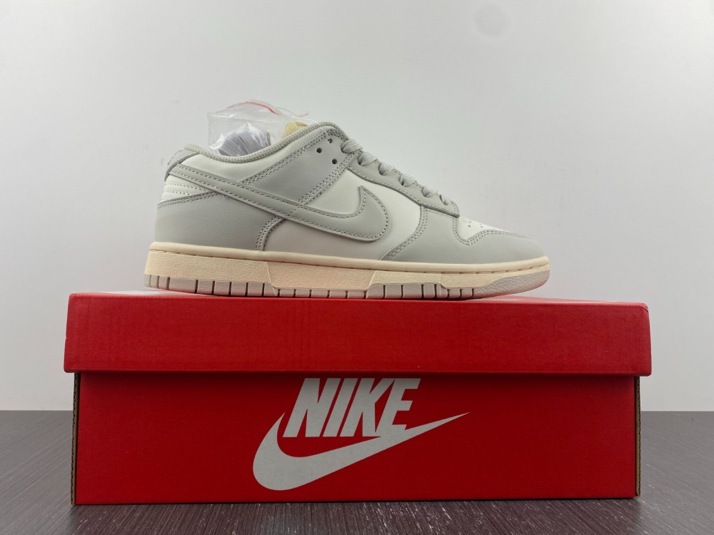 Nike Dunk Low Sail Light Bone DD1503-107