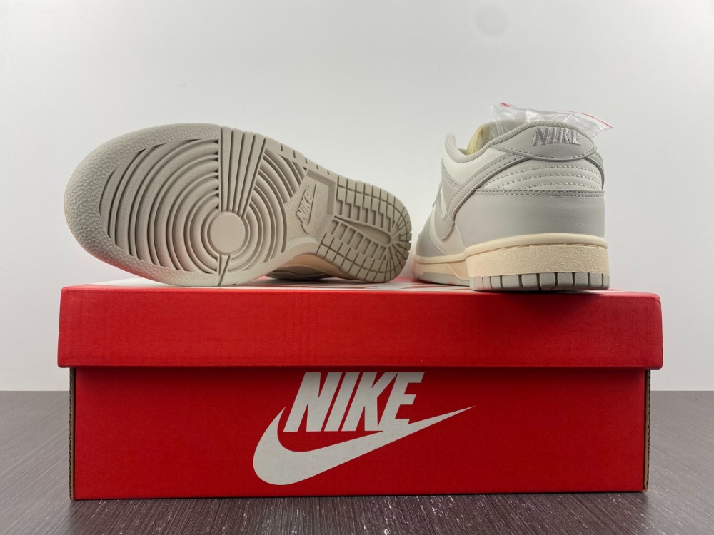 Nike Dunk Low Sail Light Bone DD1503-107