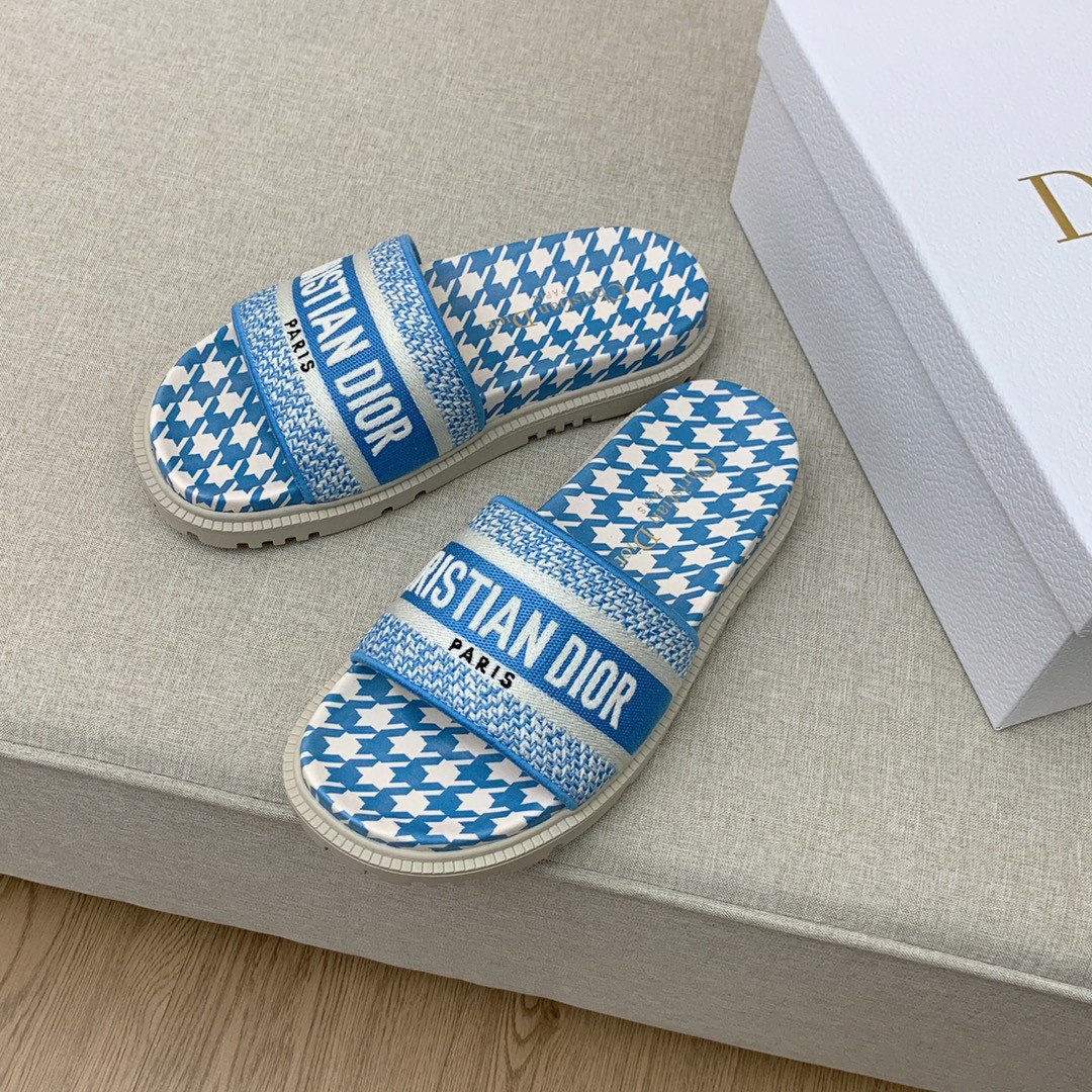 Christian Dioorr blue slide