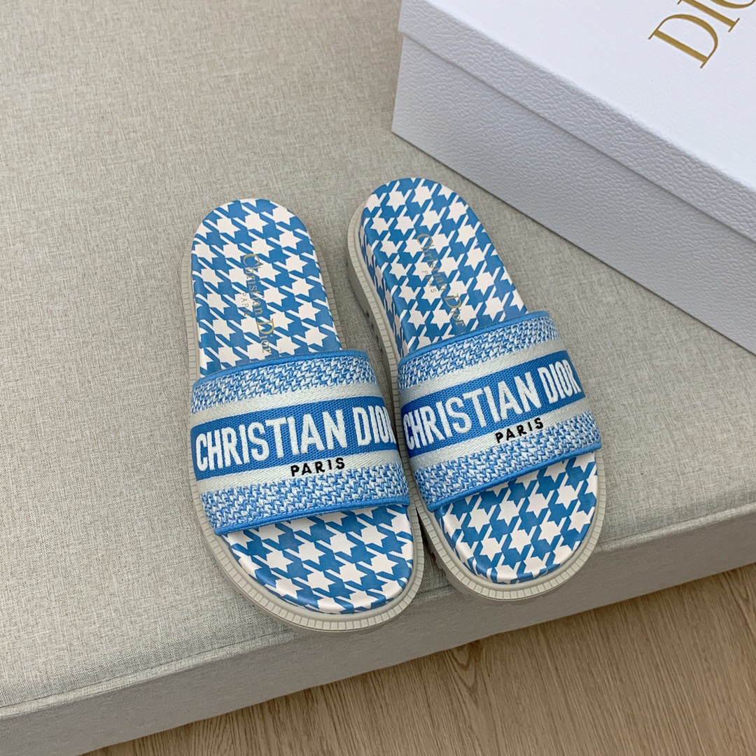 Christian Dioorr blue slide