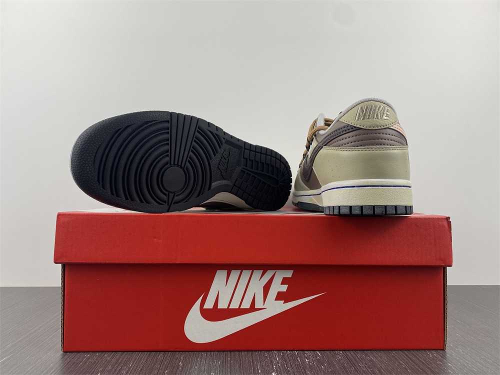 Nike Dunk Low DD3363-005