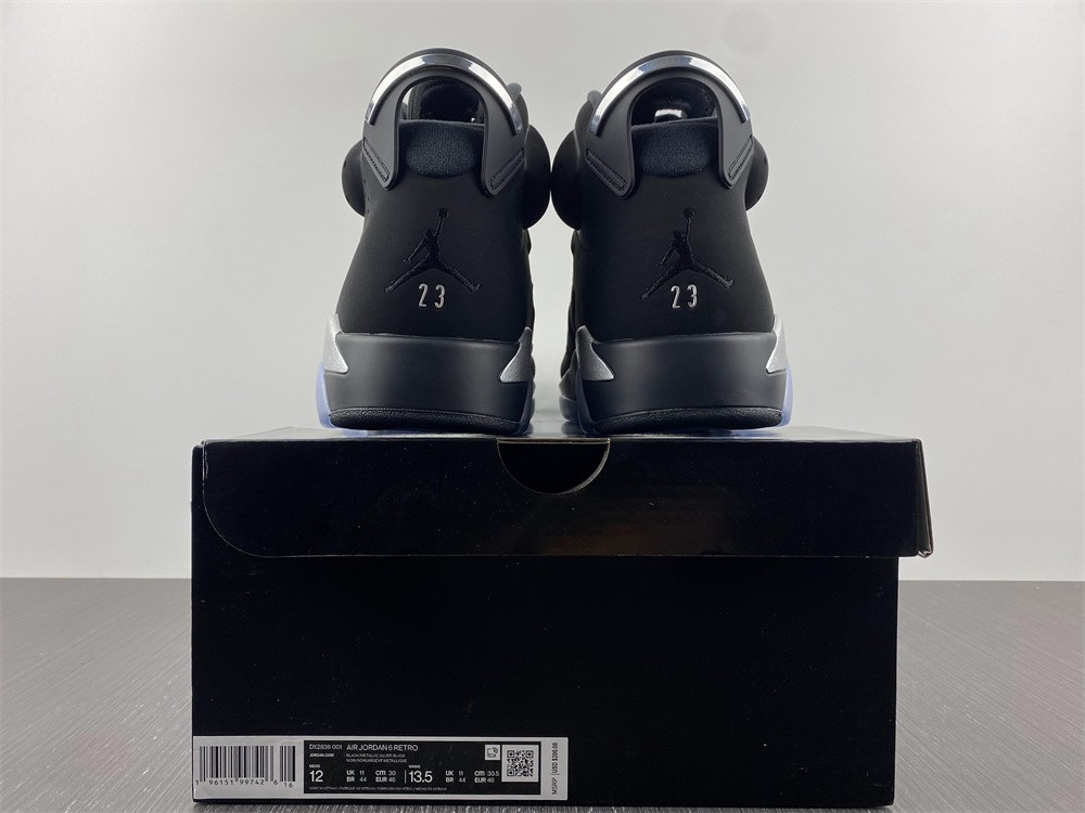 Jordan 6 Retro Metallic Silver DX2836-001