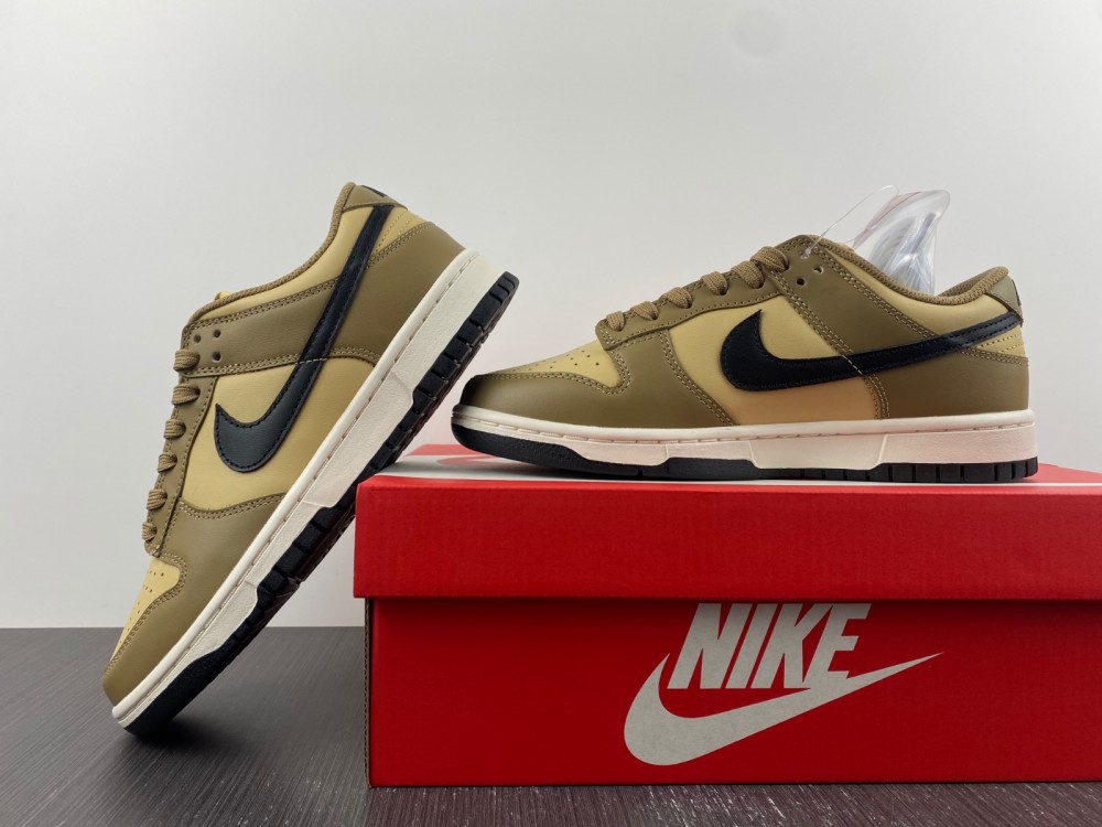 Nike Dunk Low Dark Driftwood DD1503-200