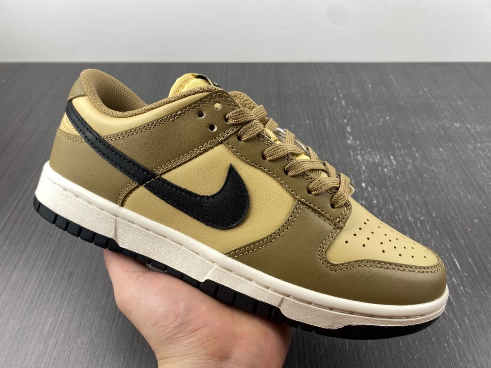 Nike Dunk Low Dark Driftwood DD1503-200