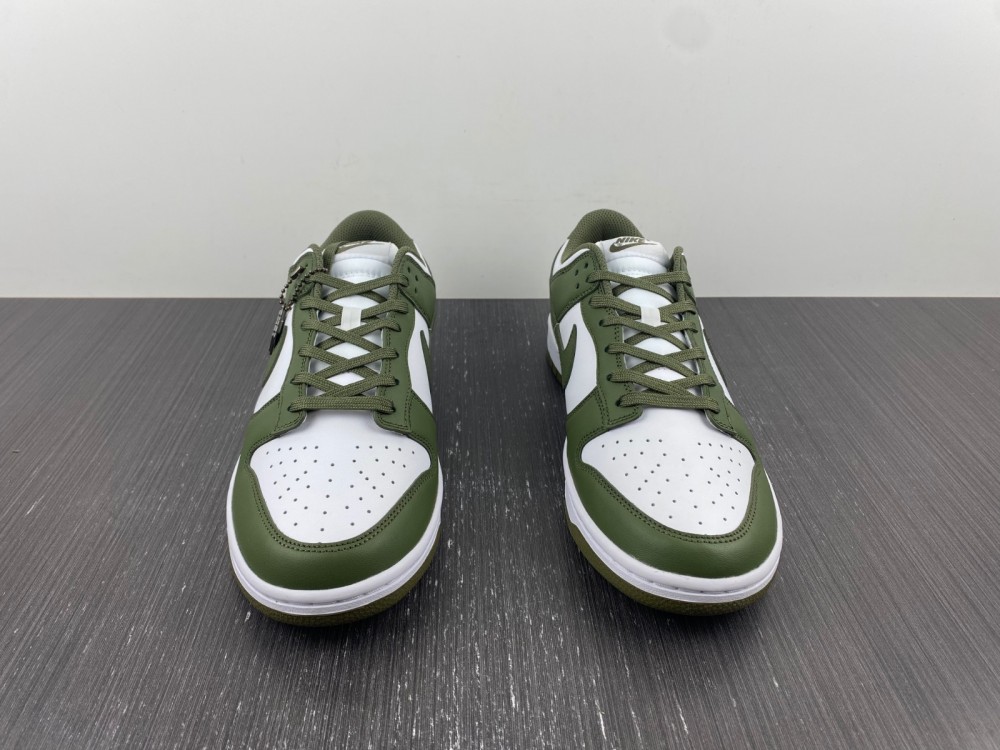 Nike Dunk Low Medium Olive (W) DD1503-120