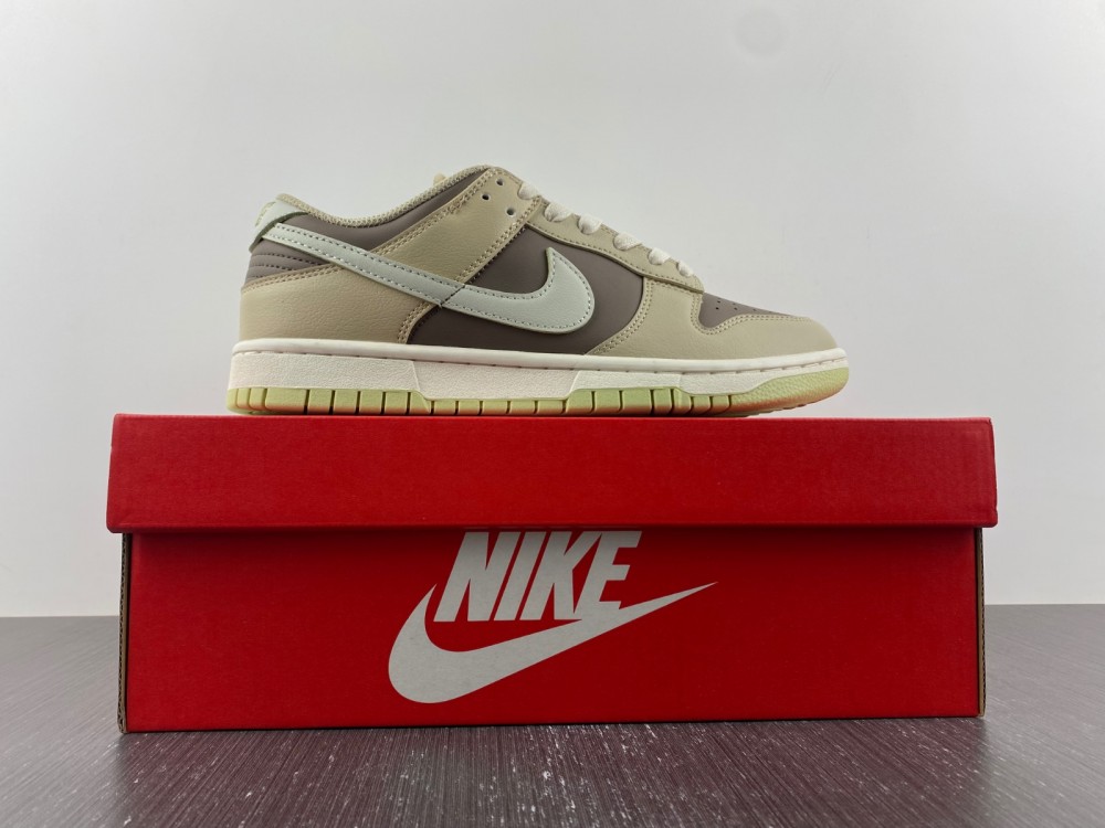 Dunk SB Low FB4961-012