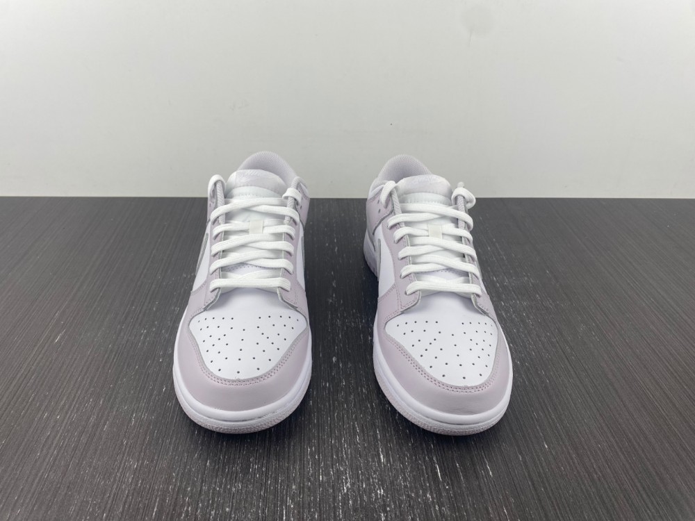 Nike Dunk Low Venice DD1503-116