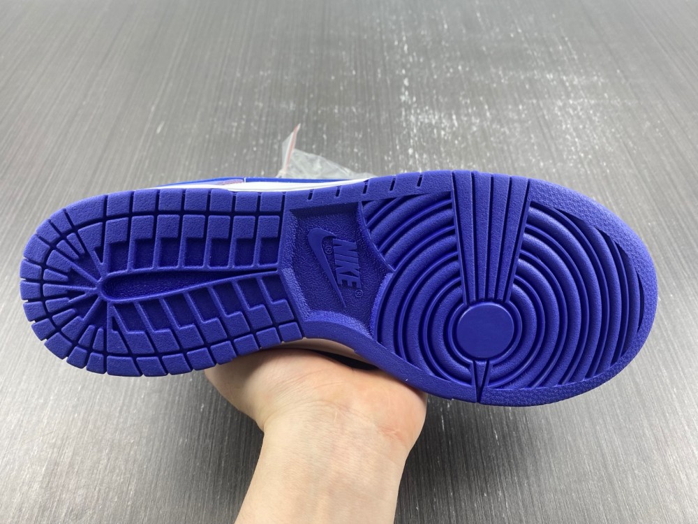 Nike Dunk Low Blueberry DZ4456-100