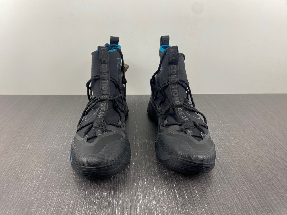 Nike ACG Air Terra Antarktik Black