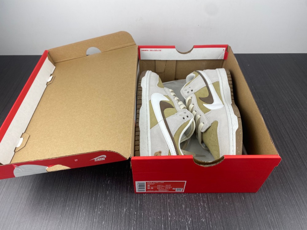 NIKE Dunk Low brown DO9457-100