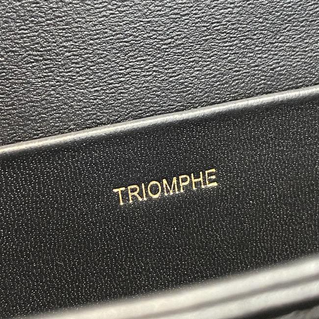 Celin Triomphe Bag Black 22cm