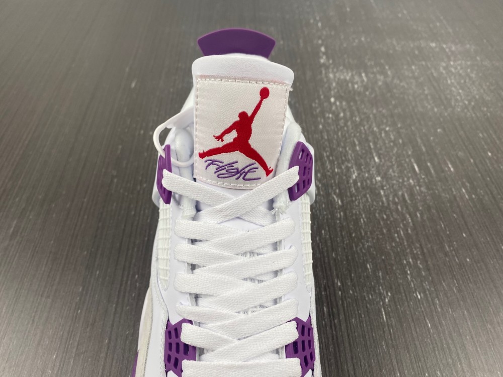 Nike SB Air Jordan 4 DR5415-150