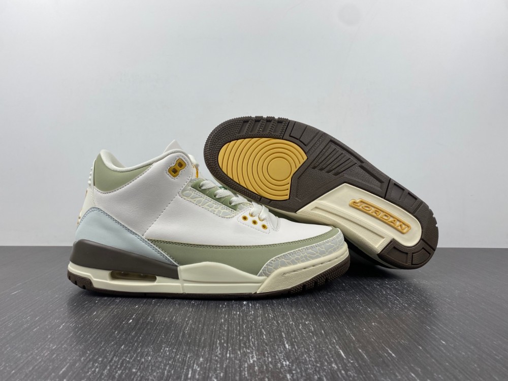 Nike Air Jordan 3 white green DX6660-800
