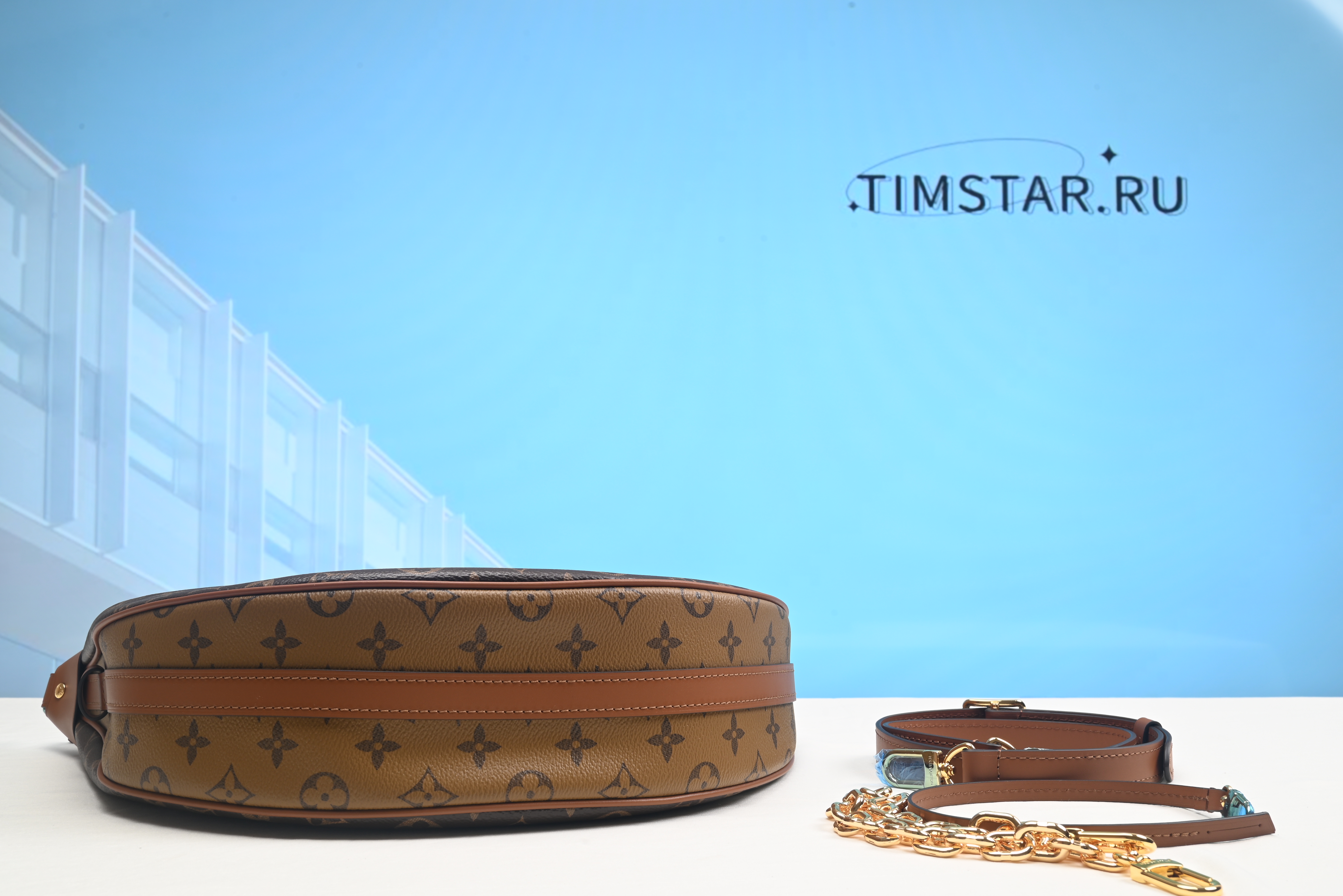 LsVttn Monogram Loop Hobo Bag M46311