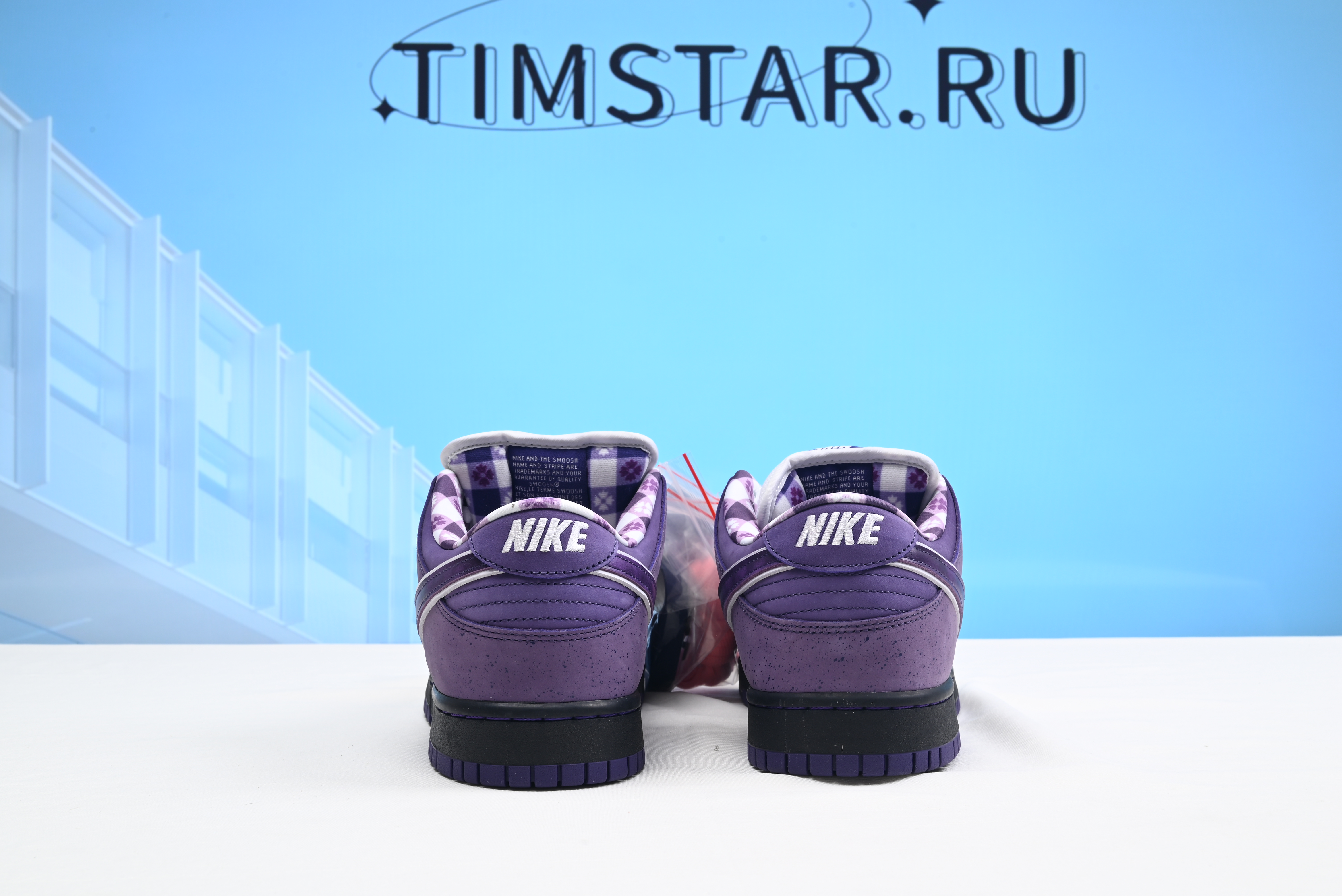 Nike SB Dunk Low Concepts Purple Lobster BV1310-555