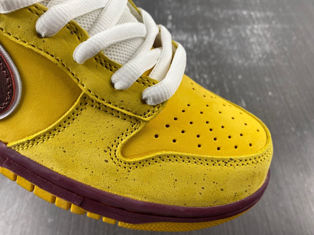 Nike Dunk Low Premium SB