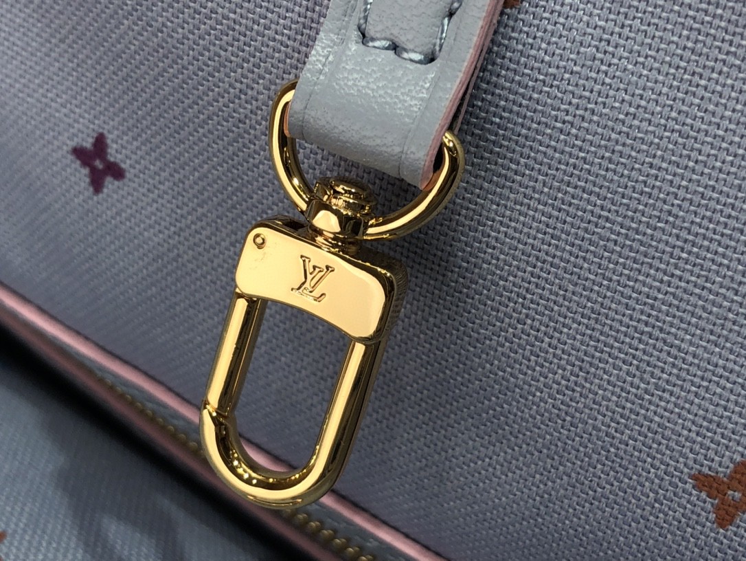 LsVttn NEVERFULL MM M46077