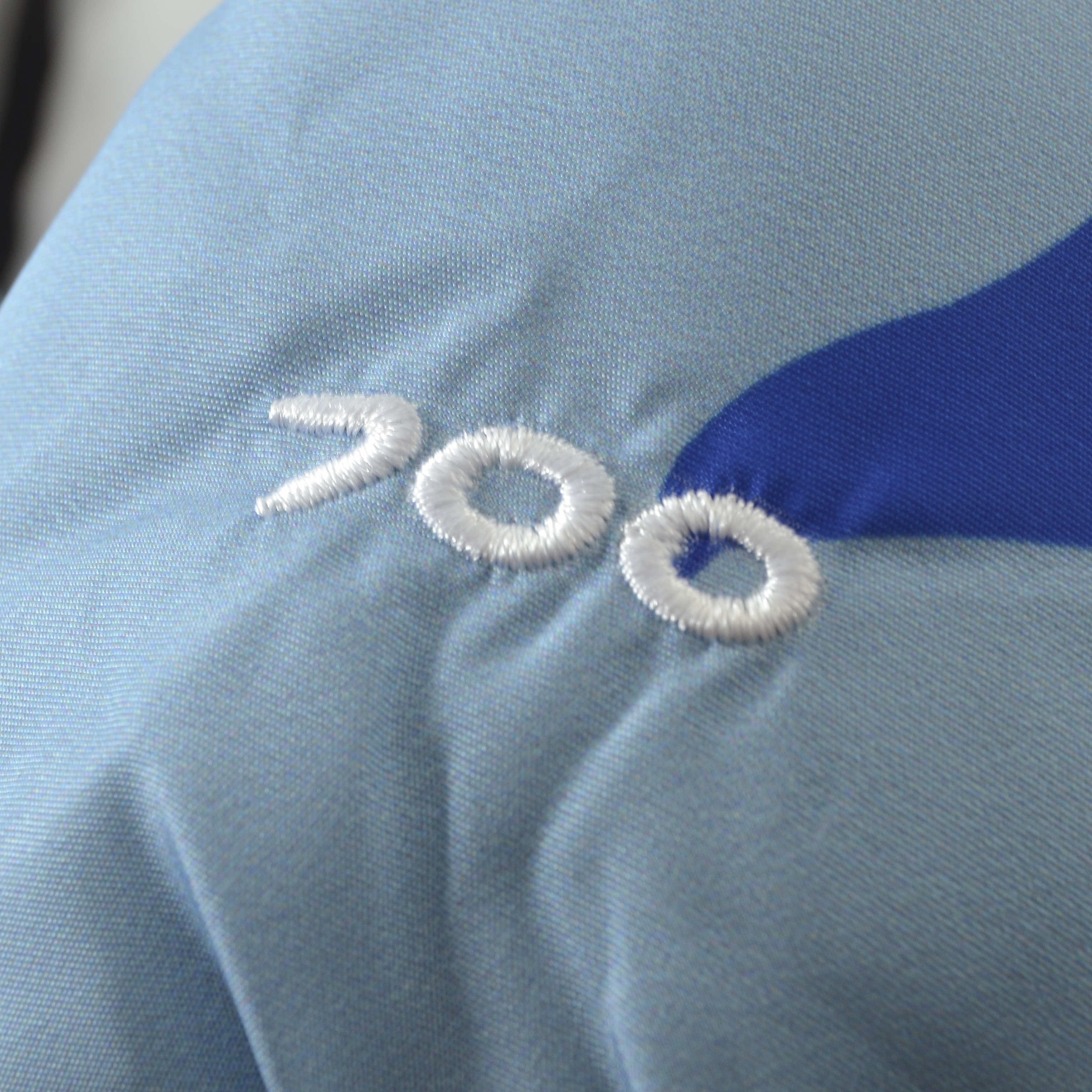 THE NORTH FACE DOWN JACKET