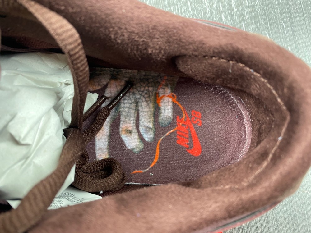 Nike Dunk Low Premium SB