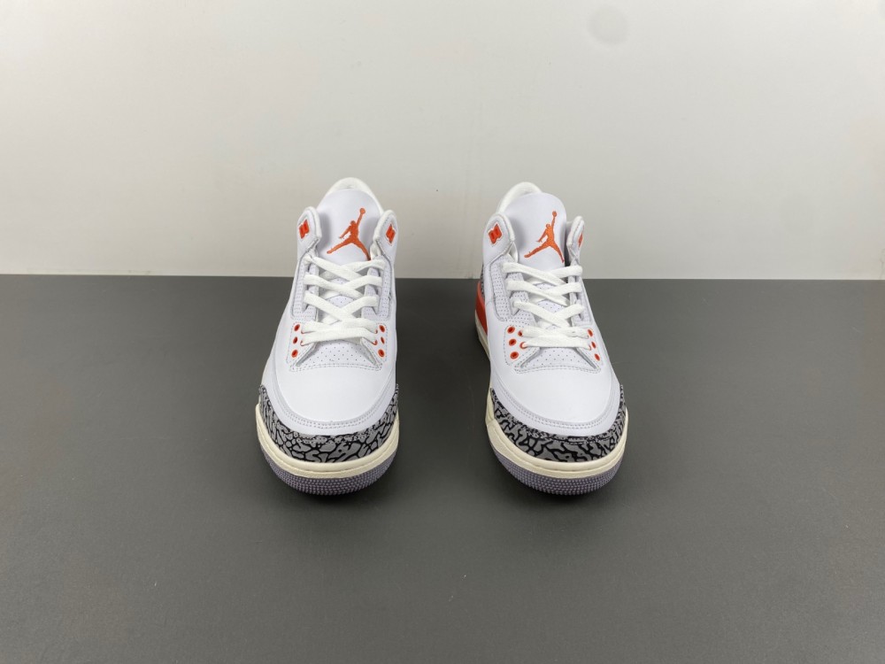 Air Jordan 3 Retro