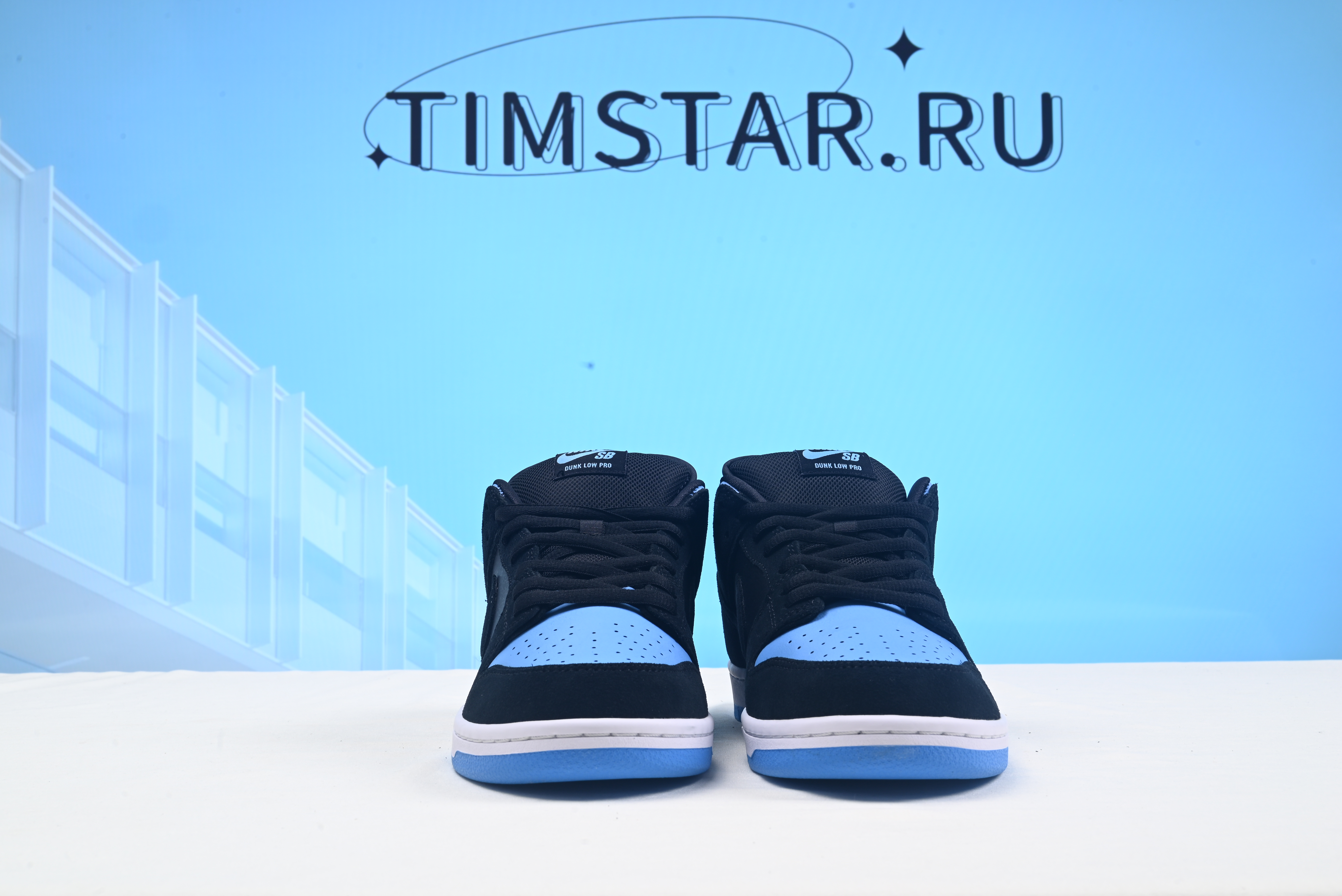 Nike SB Dunk Low Pro 304292-048