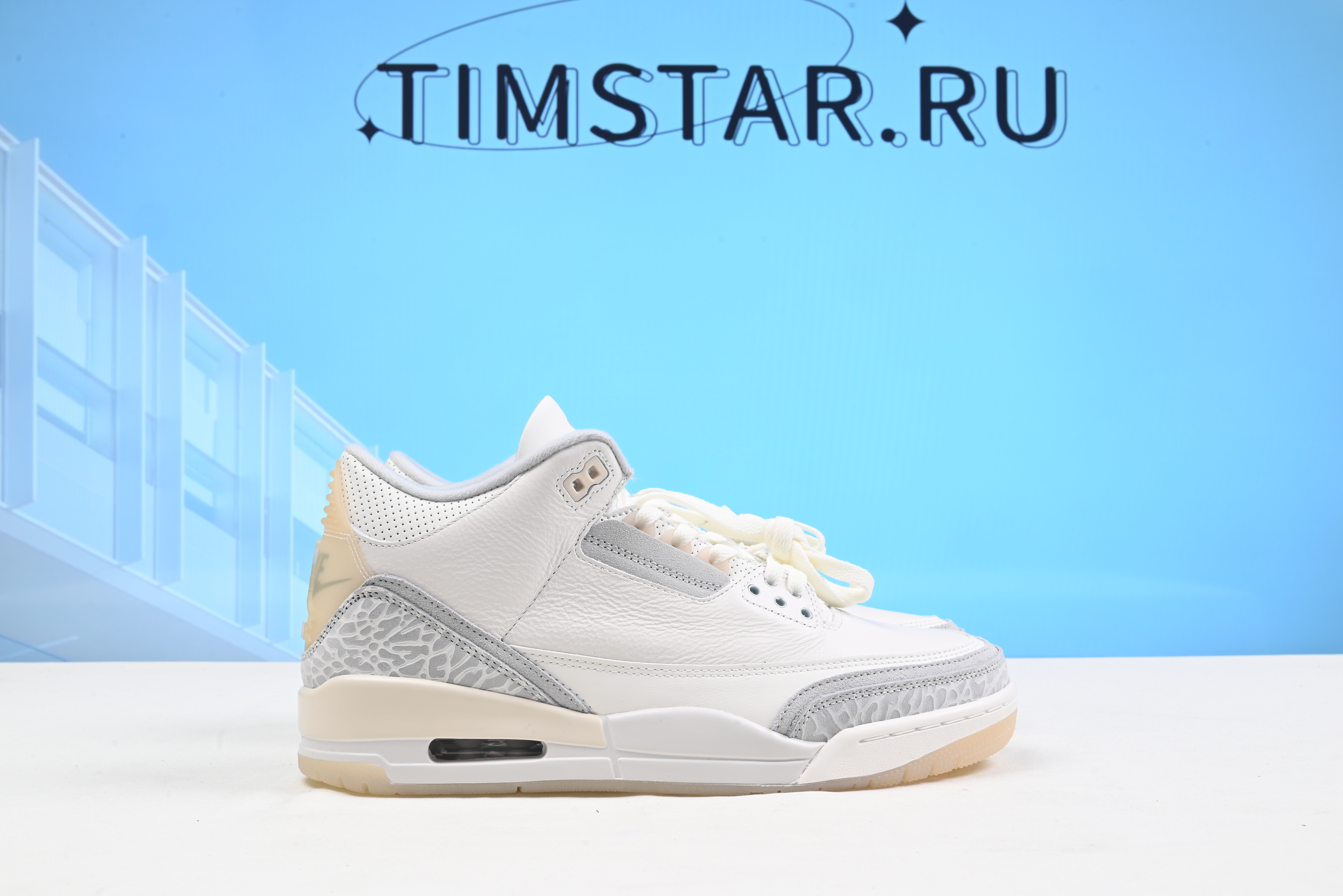 Air Jordan 3 Retro SE