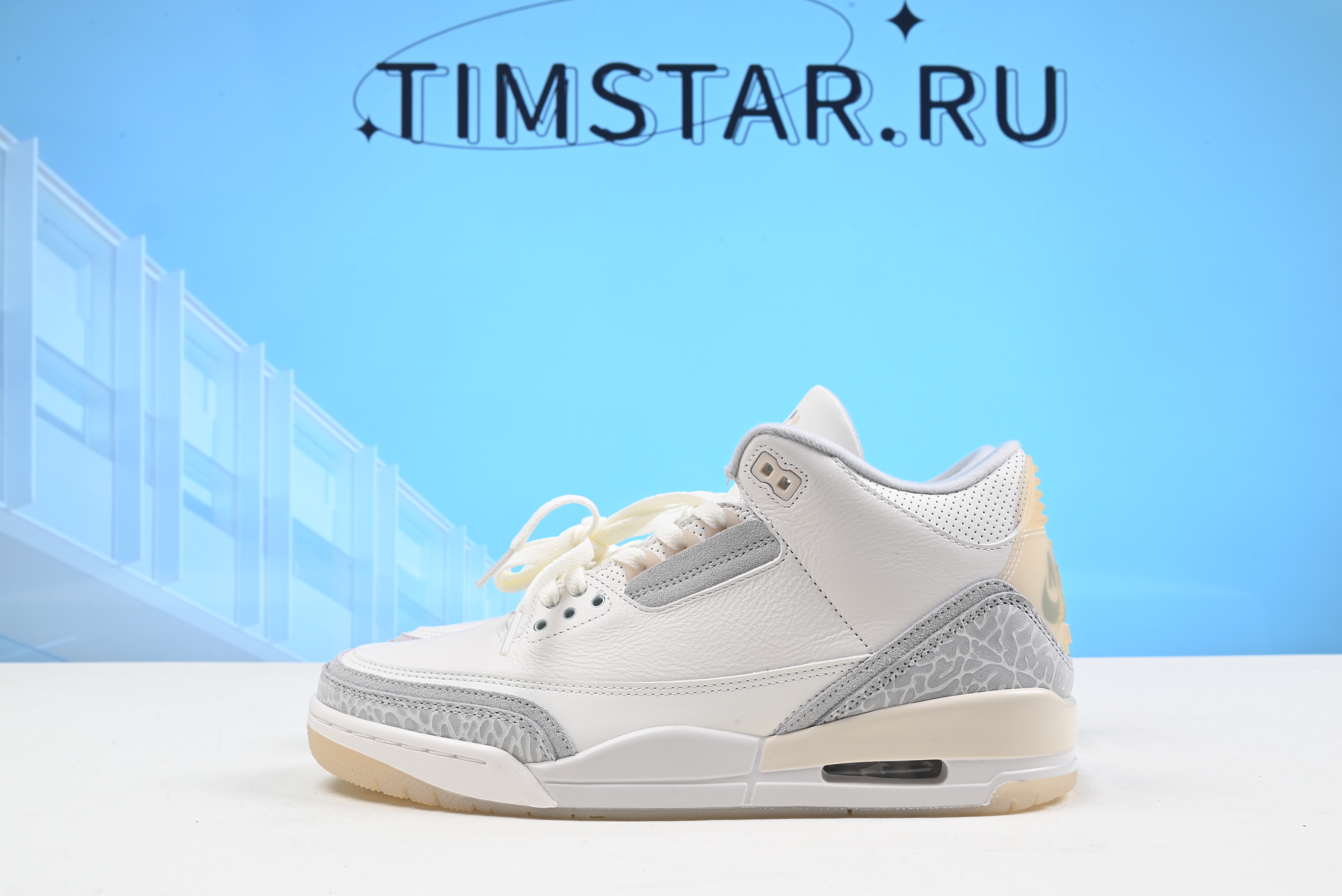 Air Jordan 3 Retro SE