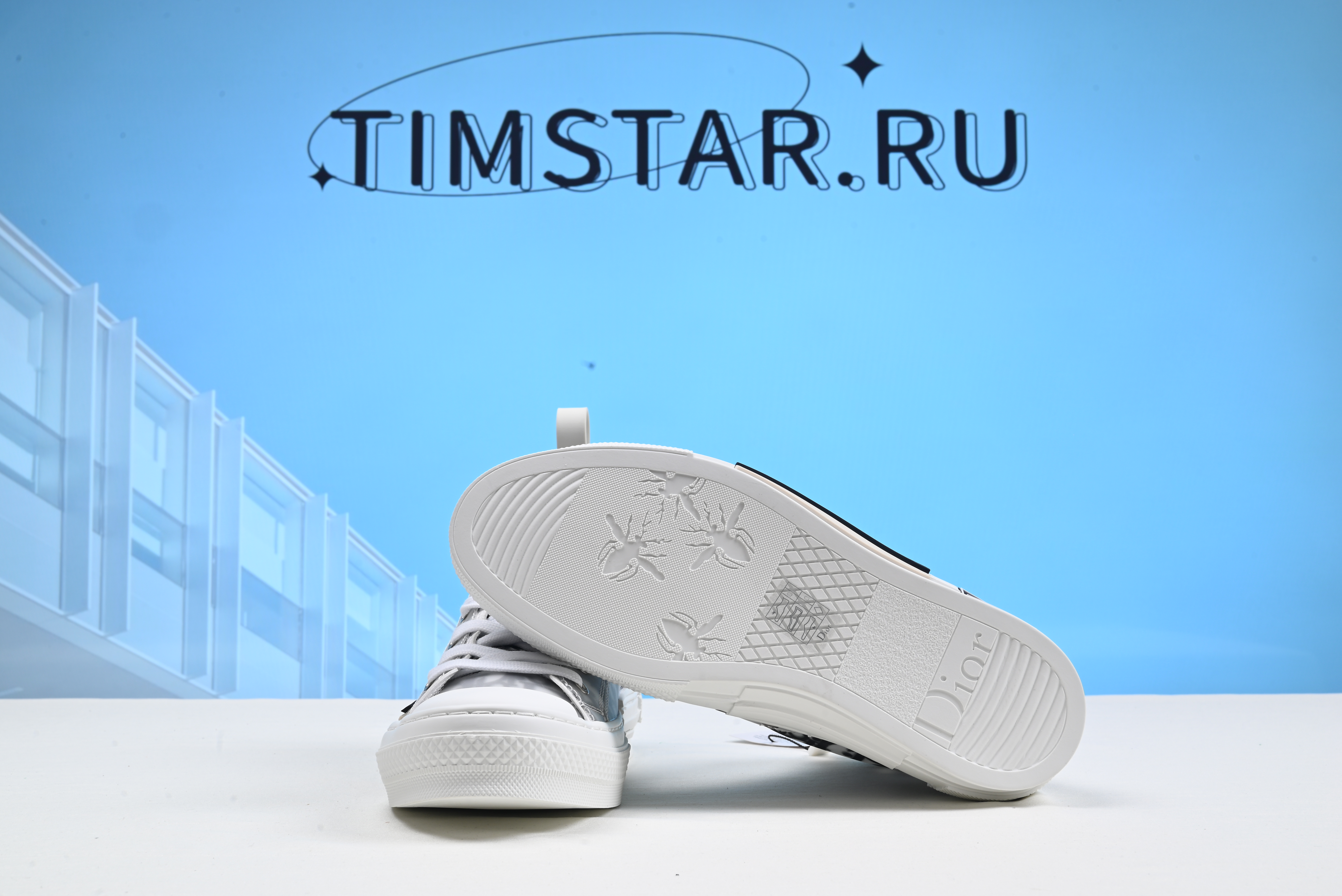 Dioorr B23 High Top Logo Oblique 3SH118YJP_H069