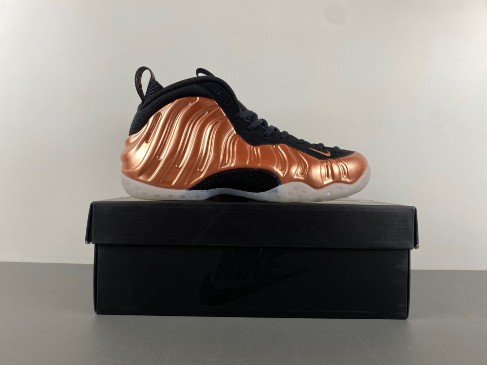 Nike Air Foamposite One FZ9902-001