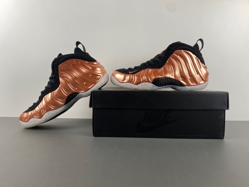 Nike Air Foamposite One FZ9902-001