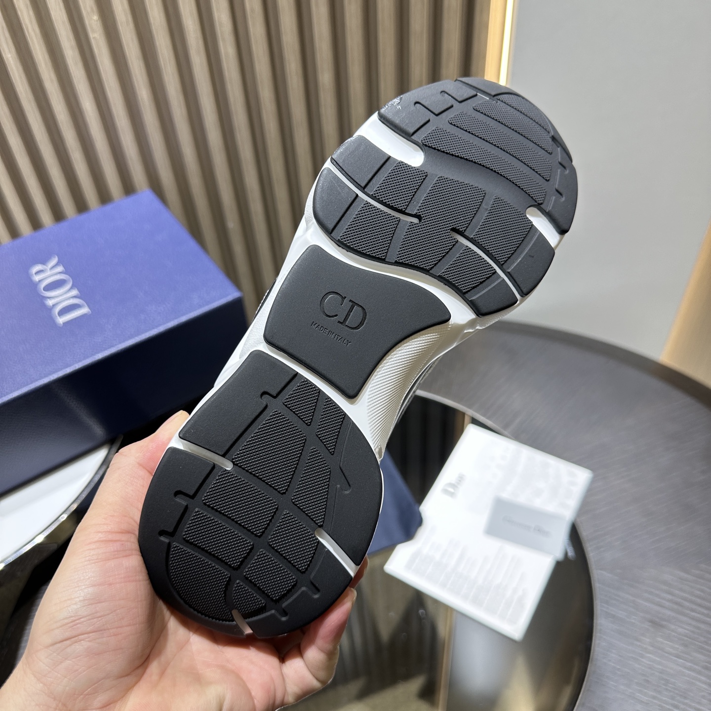 Dioorr B22 sneaker 08