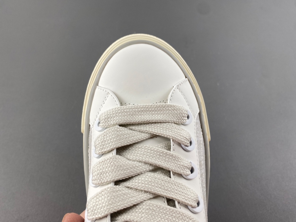 DIOR B27 Low Dior Oblique