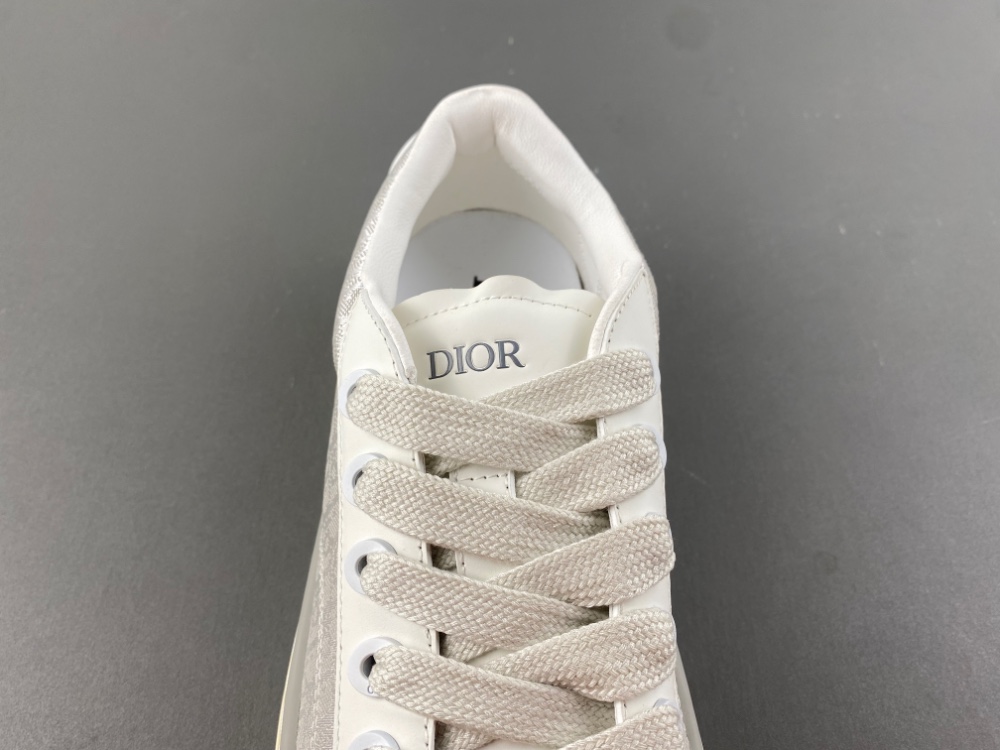 DIOR B27 Low Dior Oblique