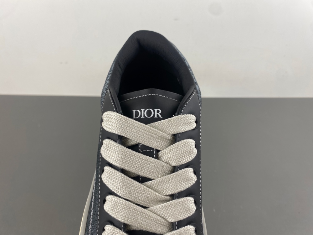 DIOR B27 Low Dior Oblique 03