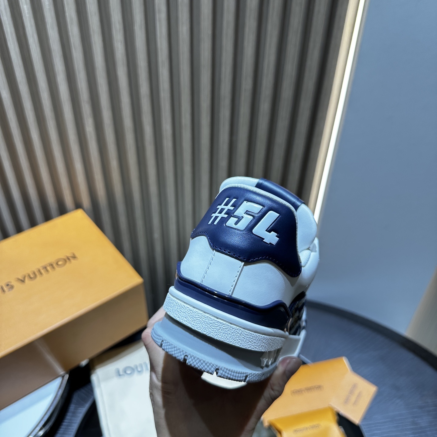 Louis Vuitton LV trainer sneaker 01