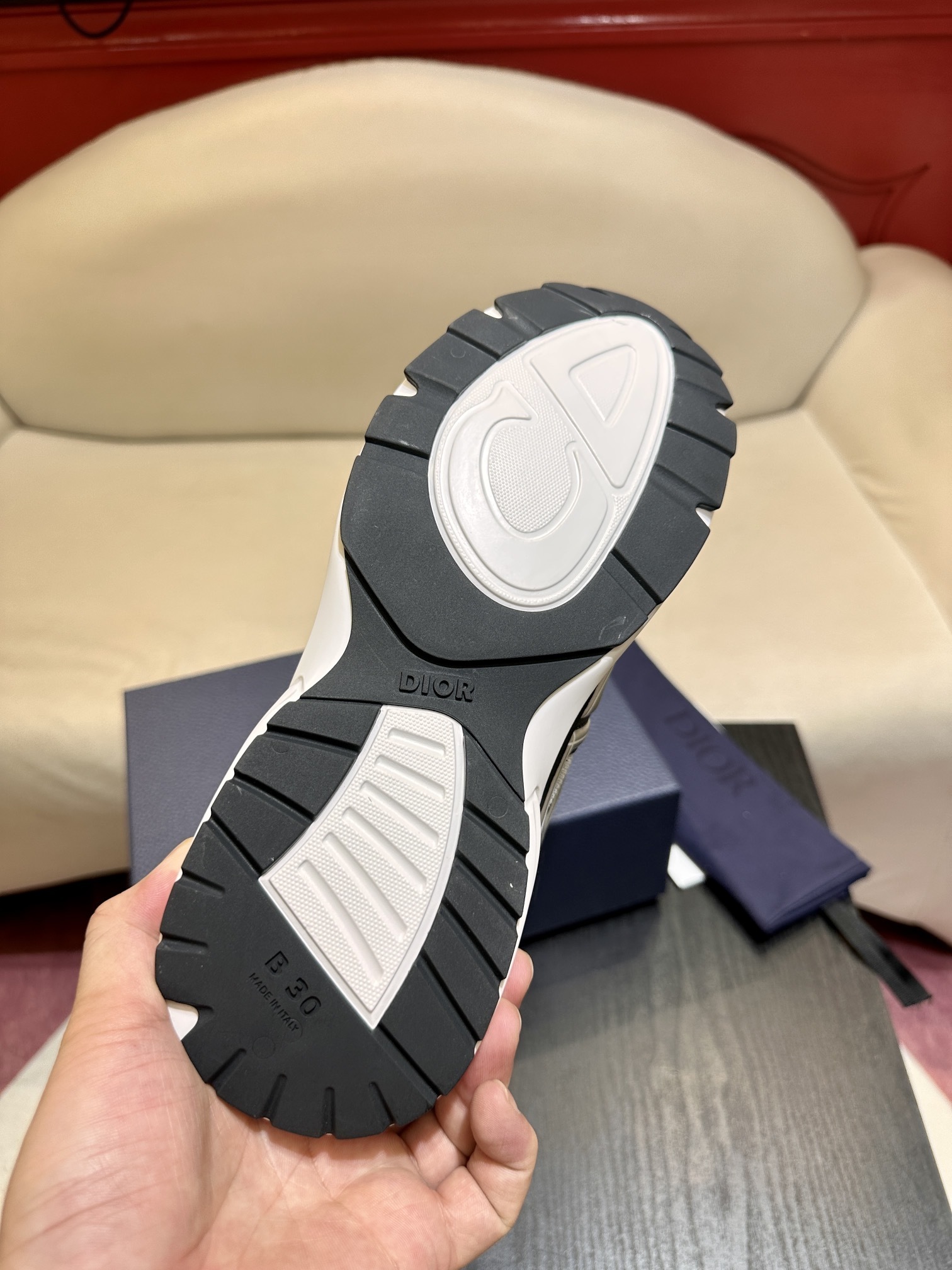 Dior B30 sneaker 04