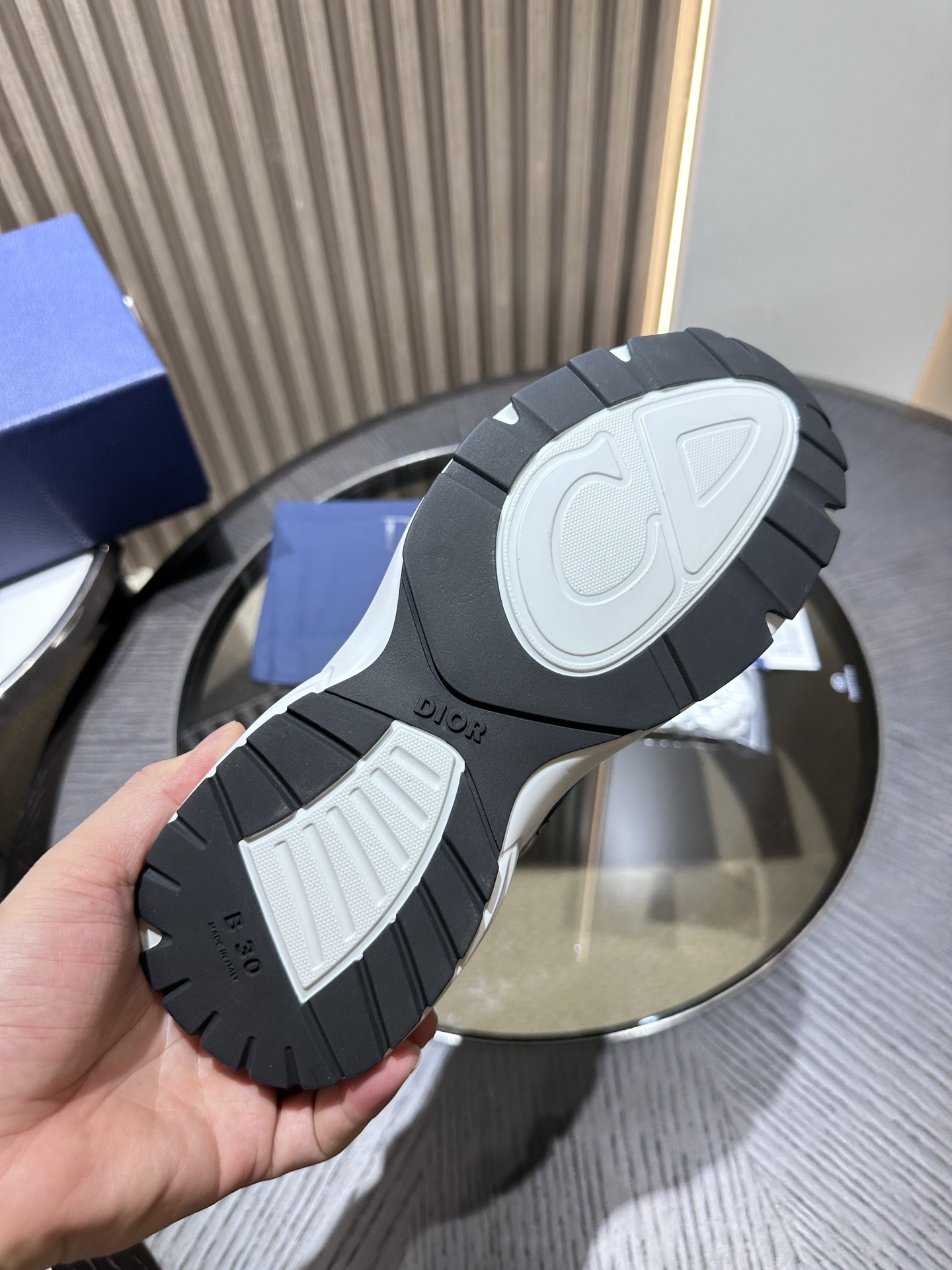 Dior B30 sneaker 06