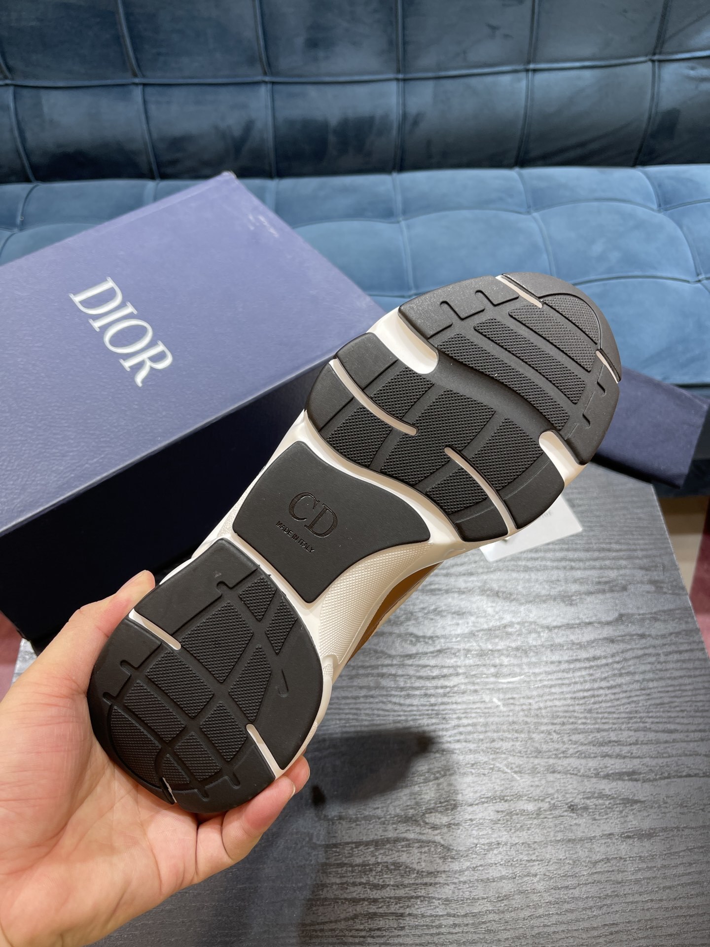 Dioorr B22 sneaker 14