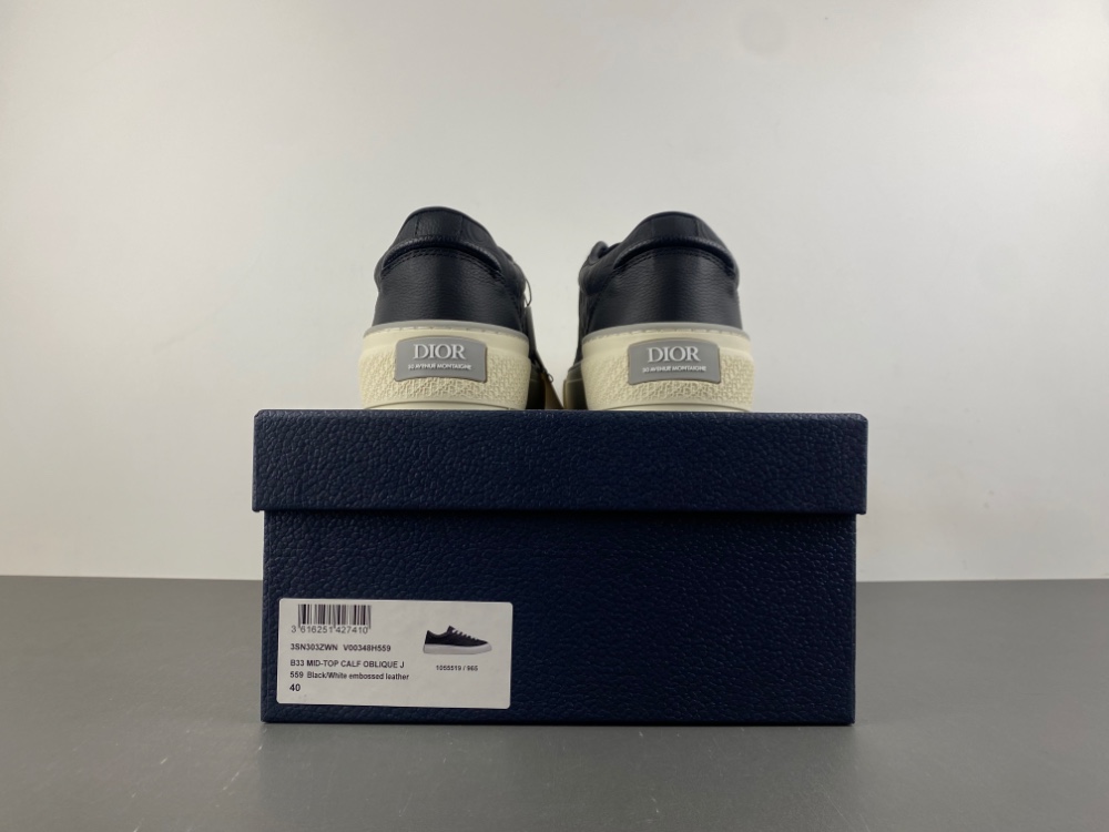 DIOR B27 Low Dior Oblique 06